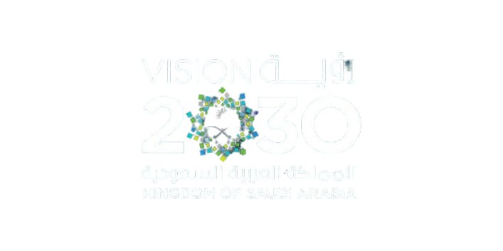 رؤية المملكة 2020